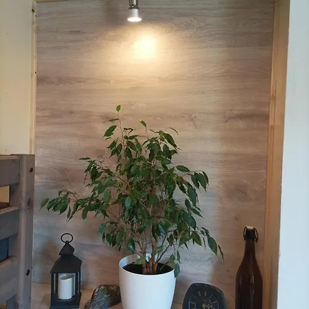 Braeustuebel, Free Wi-fi, Parken, Grillecke, Naehe Rennsteig Appartamento Lehesten