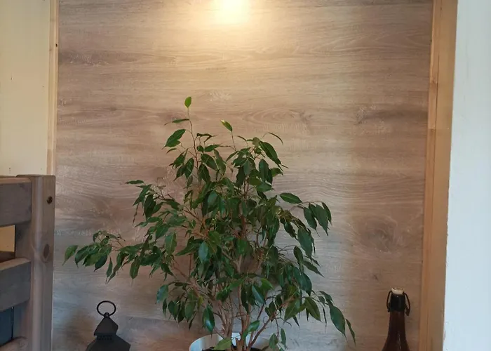 Braeustuebel, Free Wi-fi, Parken, Grillecke, Naehe Rennsteig 아파트 Lehesten